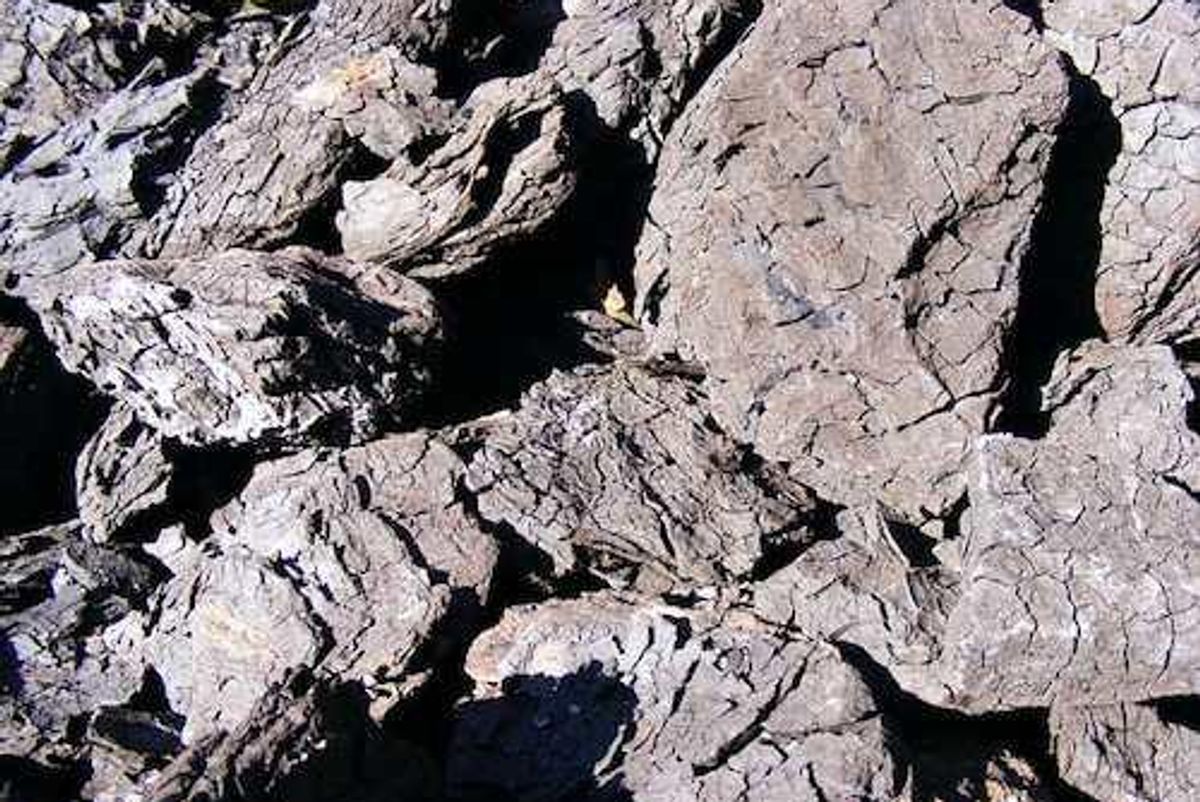 peat lignite bituminous anthracite