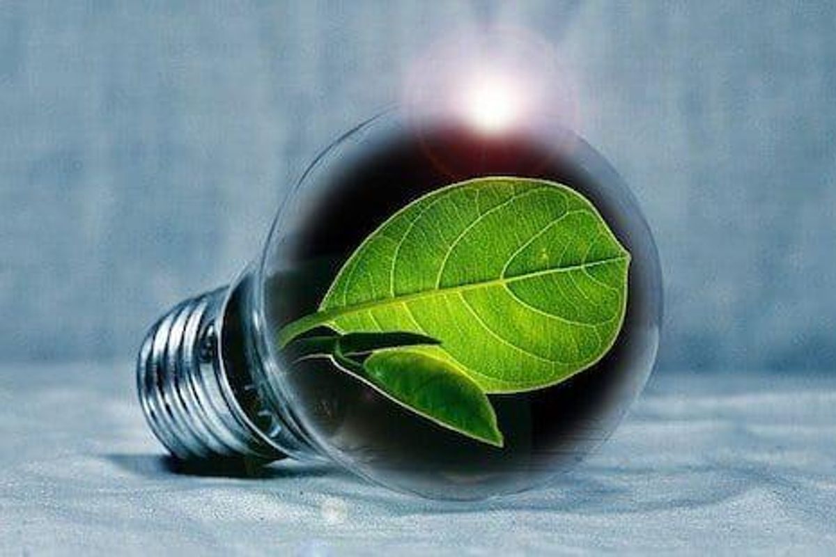 Coal Investing