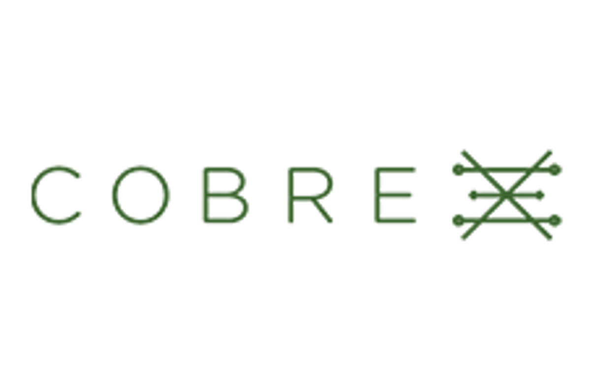 Cobre Limited (ASX:CBE)