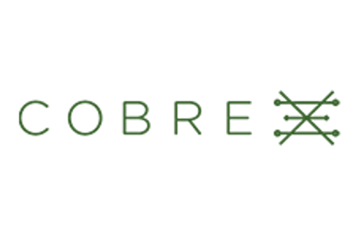 Cobre Limited (ASX:CBE)