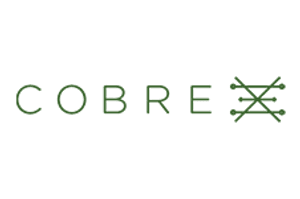 cobre limited