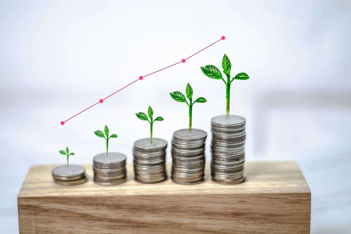 Coins stacked with growing plants and an upward graph, symbolizing financial growth.