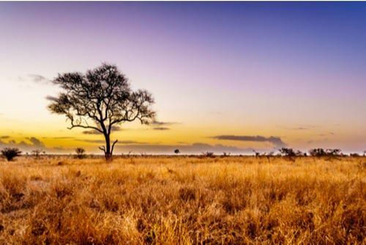 copper in africa