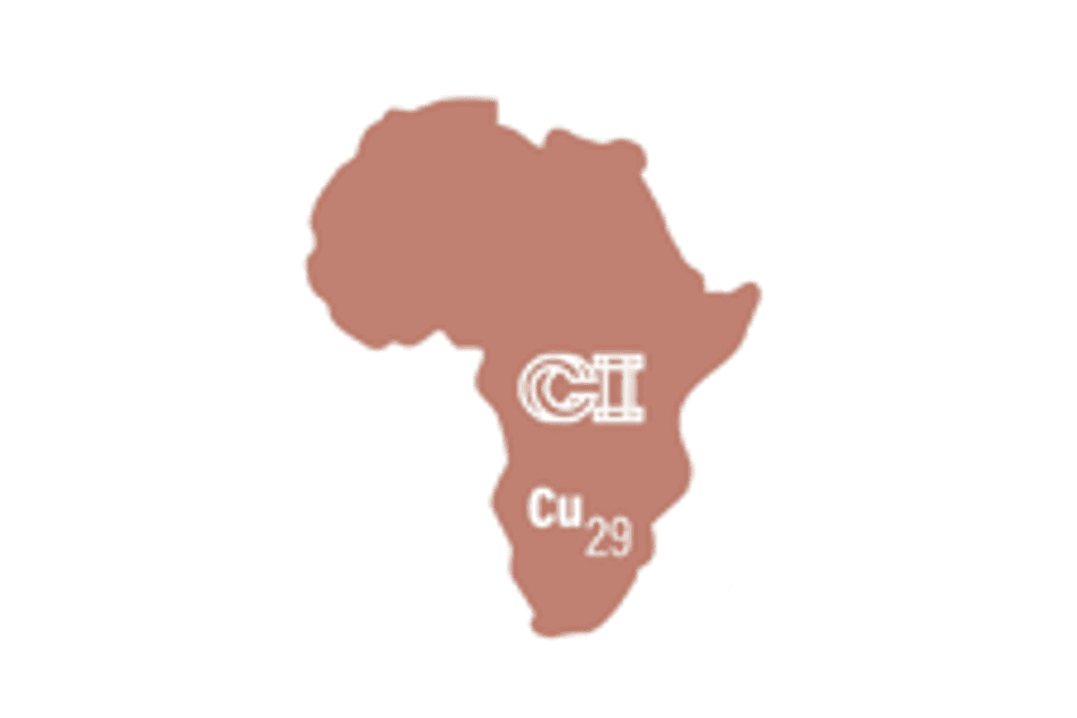 Copper Intelligence (OTC:CUAI)