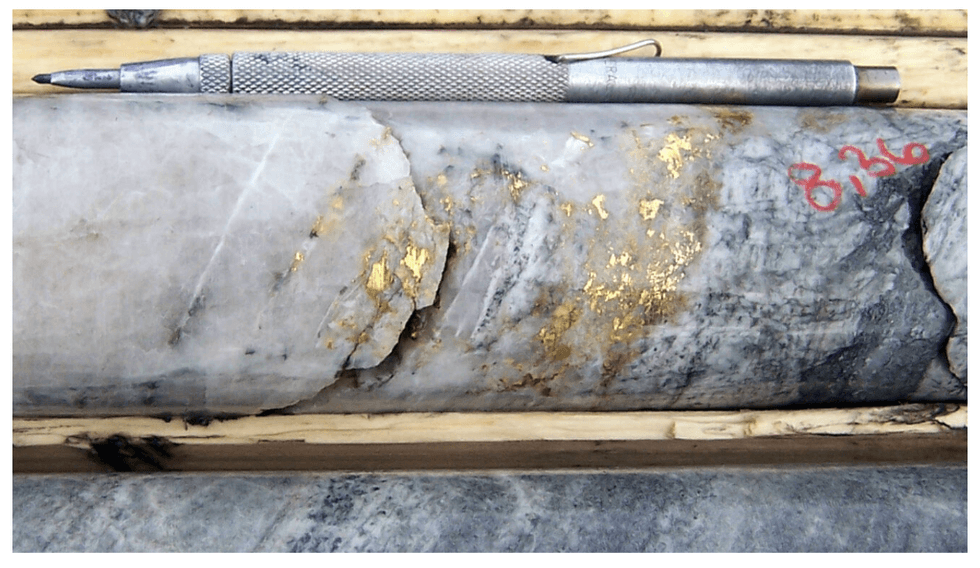 Core sample from Sirios Resources' Aquilon gold project with gold flecks, pen for scale, marked with red "8266."