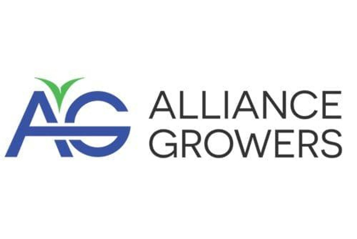 CSE:ACG