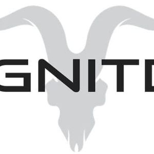 ignite international