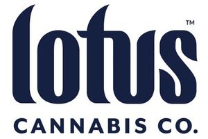 lotus ventures