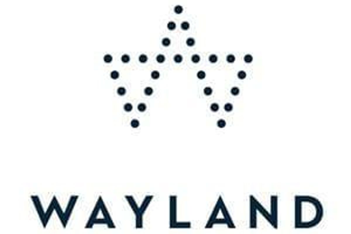 CSE:WAYL
