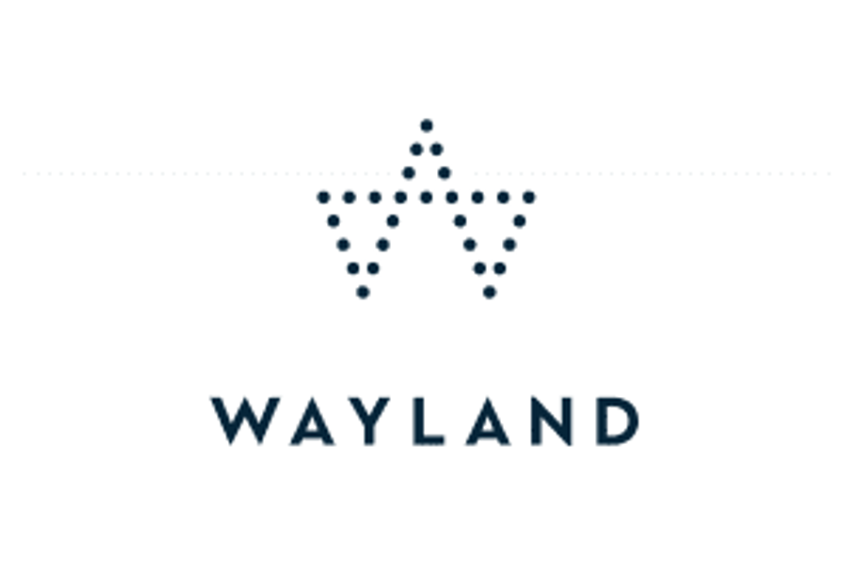 CSE:WAYL