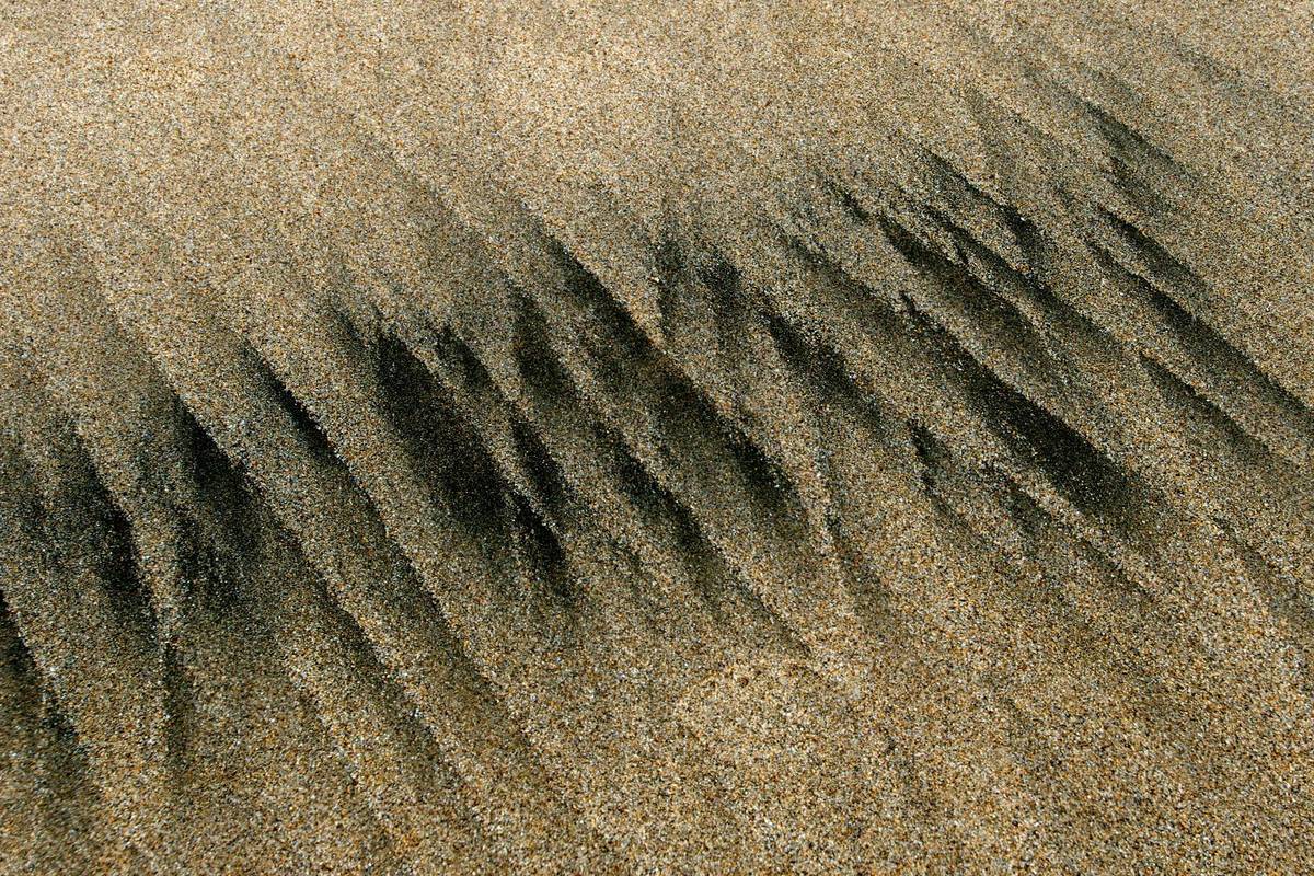 Dark streaks form intricate patterns on a textured sandy surface with visible chunks of minerals.