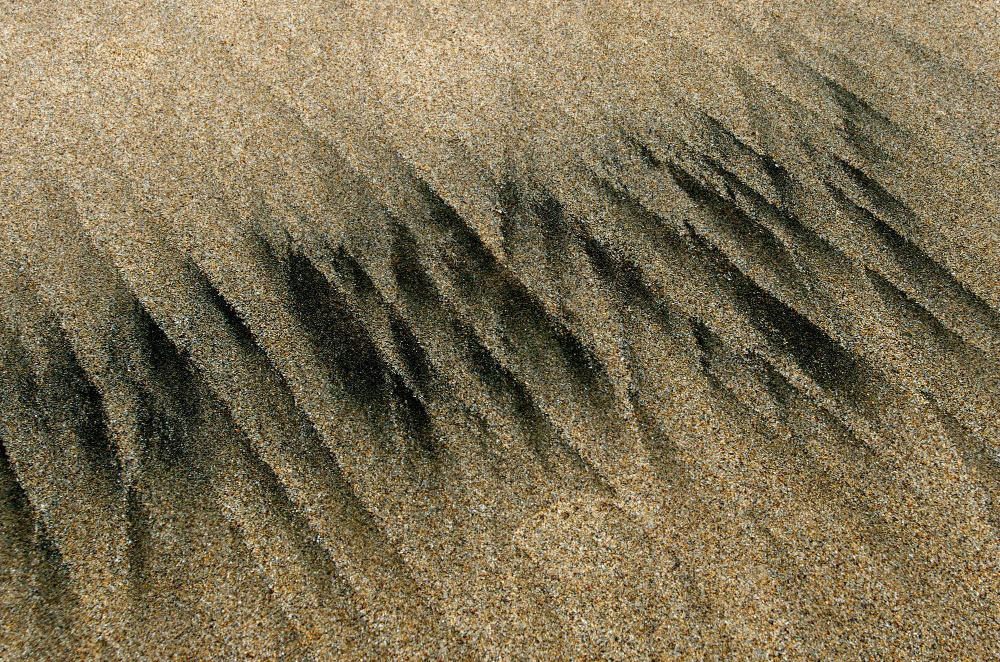 Dark streaks form intricate patterns on a textured sandy surface with visible chunks of minerals.