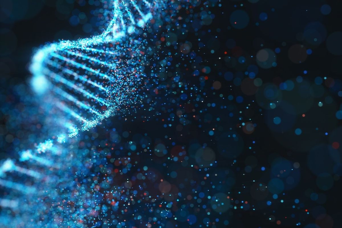 DNA molecule.