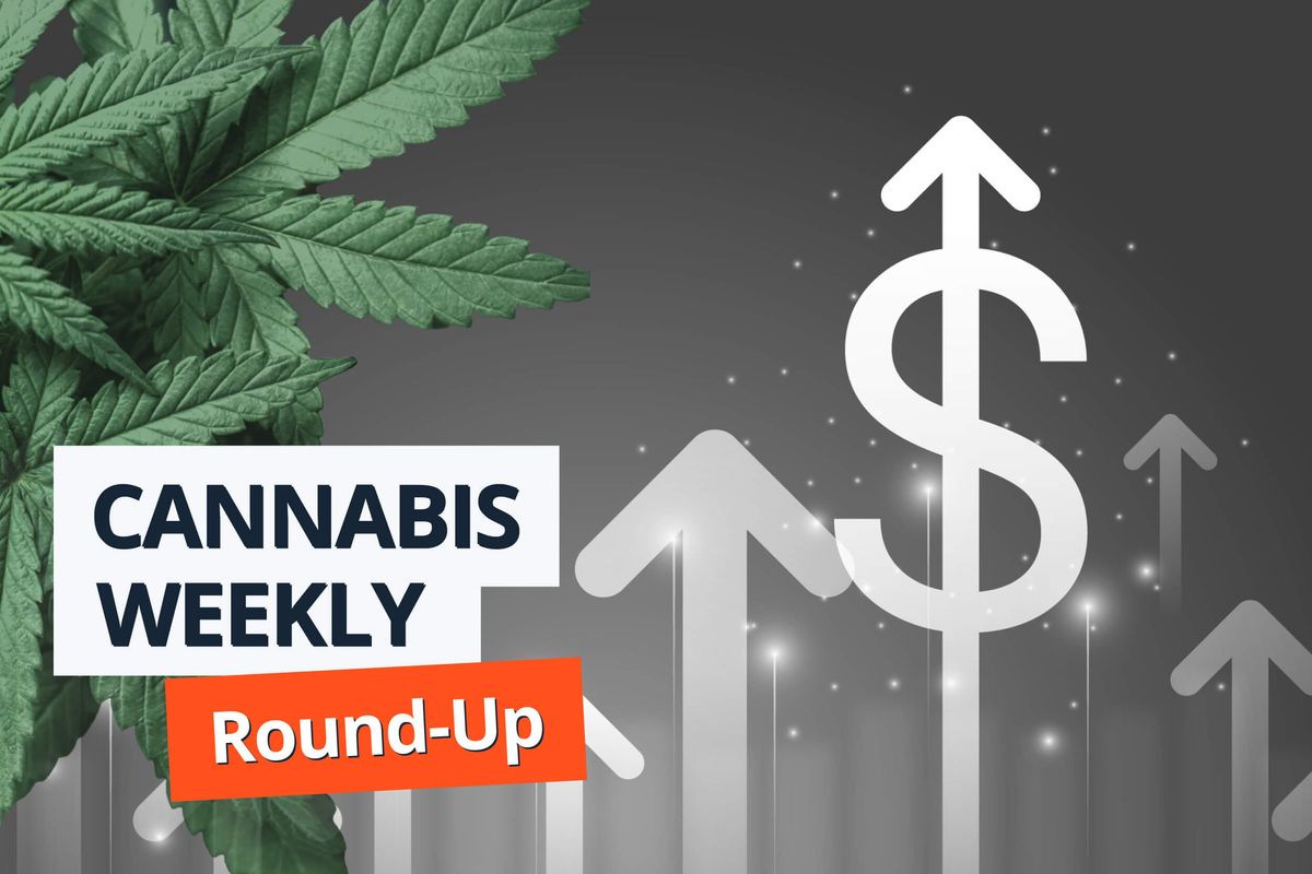 dollar sign with arrows pointing up