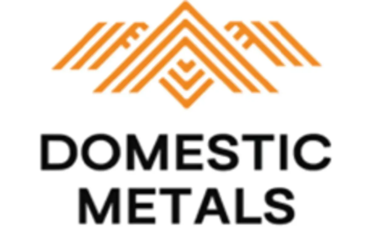 Domestic Metals (TSXV:DMC)