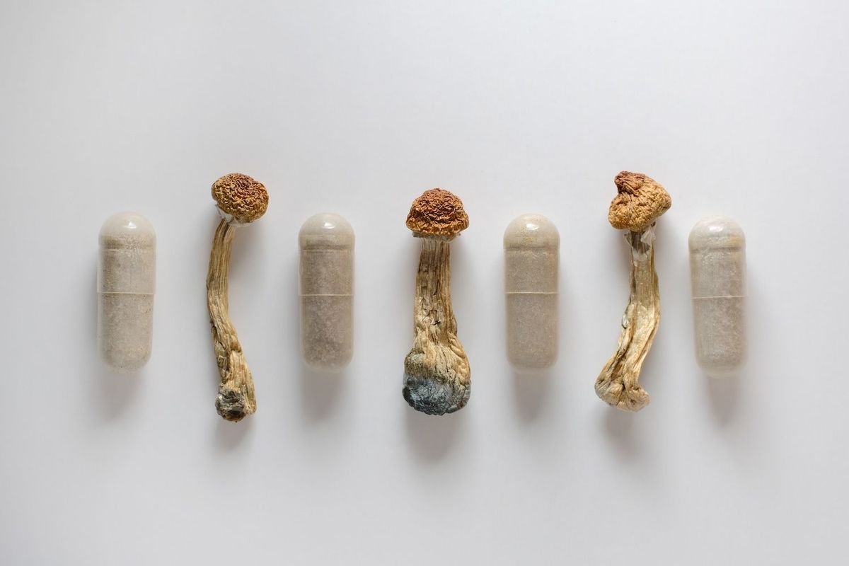 Dried mushrooms and capsules aligned on a light surface.