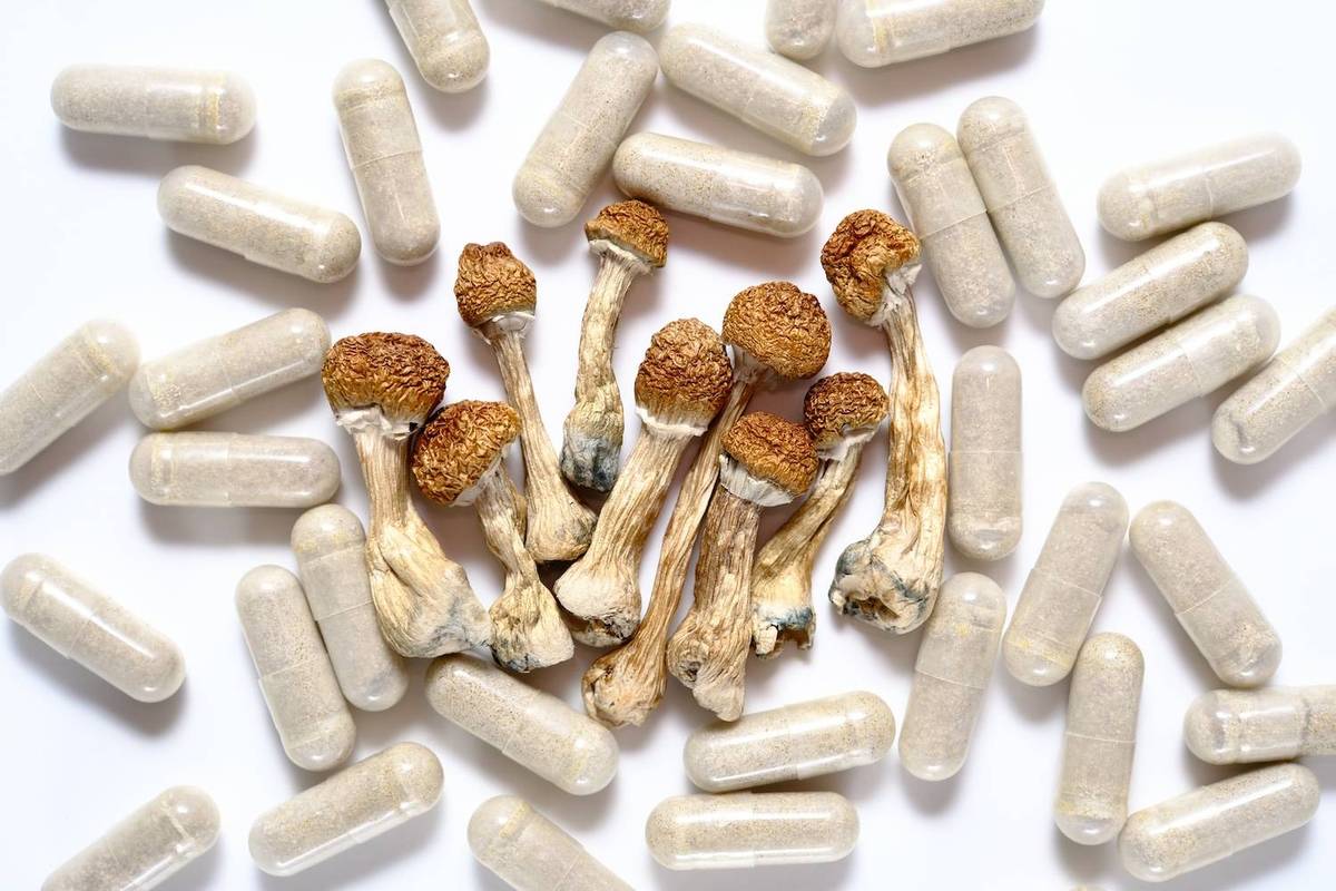 Dried mushrooms in the center are surrounded by translucent capsules on a white background.