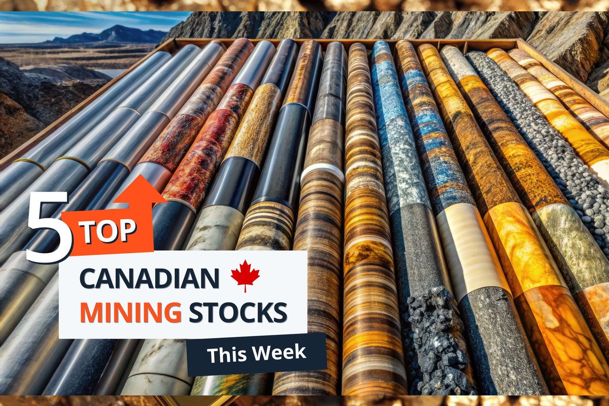 Drill core samples in box.