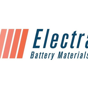 electra battery mate