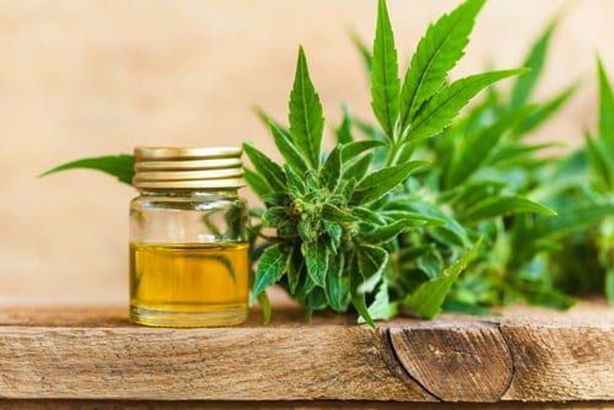 Emerging Growth Market: Interest In CBD-fortified Products Dominating Functional Foods Market