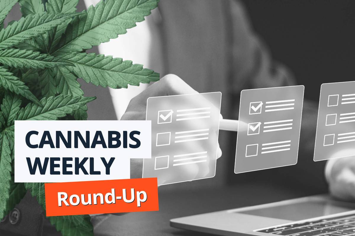 executive filling out survey