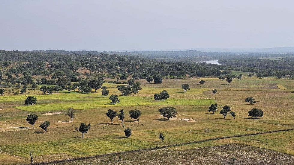 Extensive grassy landscape of the Kada Gold project of Asara Resources
