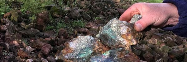 Image for Pan Global Resources