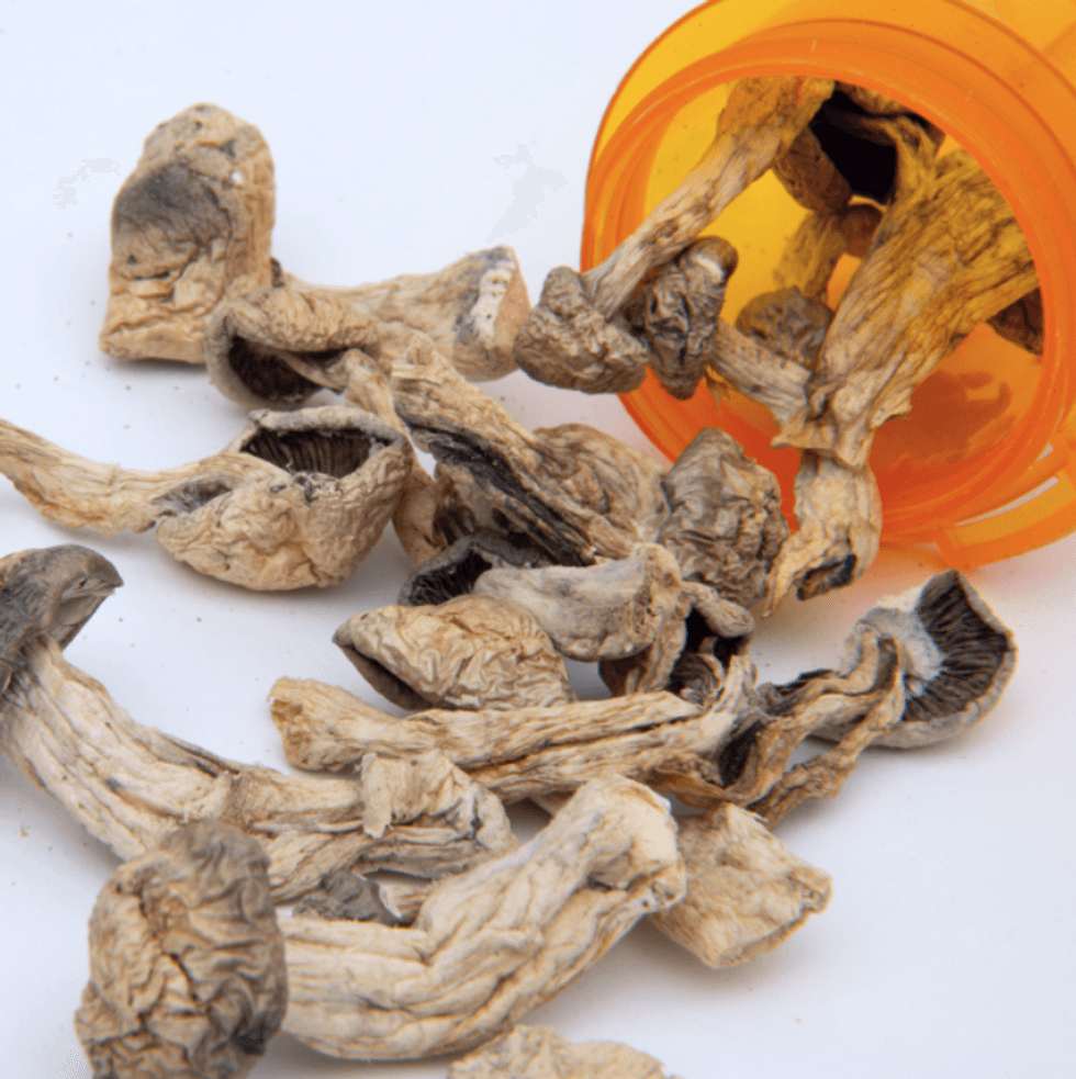 Medical mushrooms for psychedelic treatment