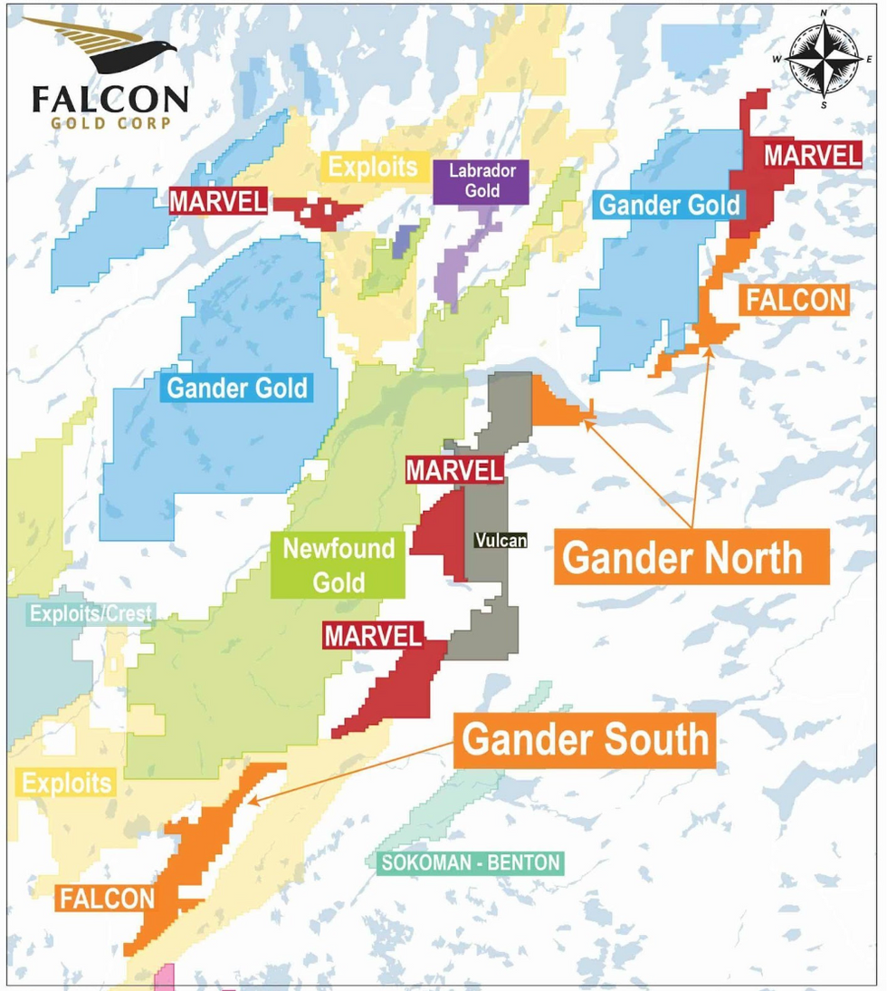 Falcon Gold Gander Zone