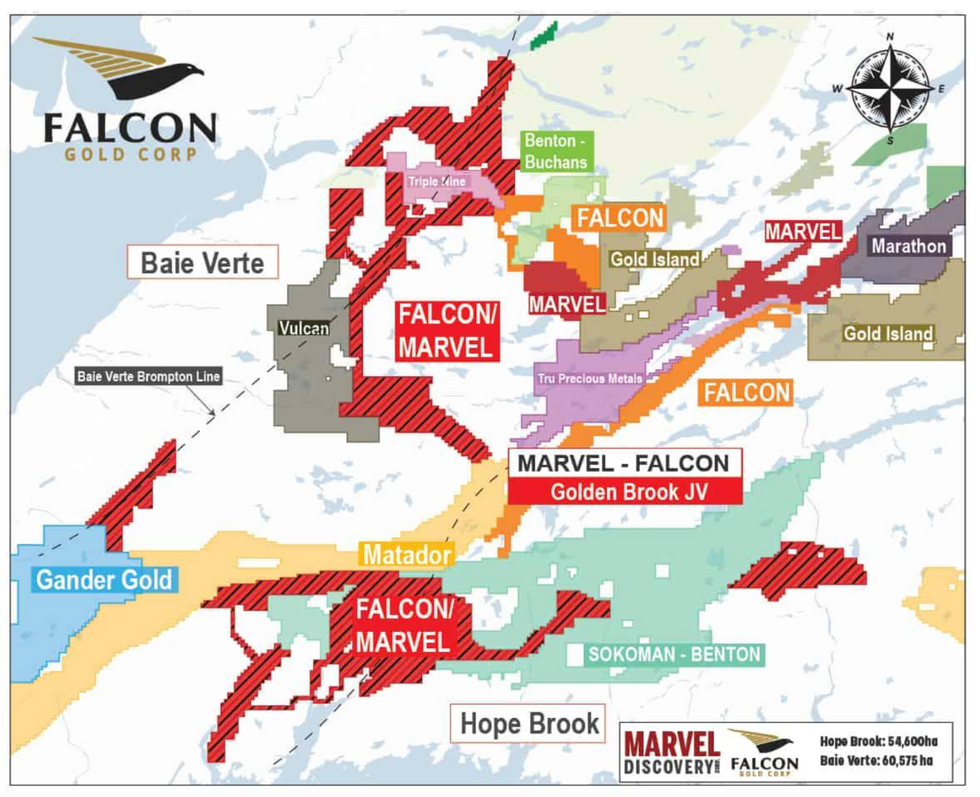 Falcon Gold Newfoundland