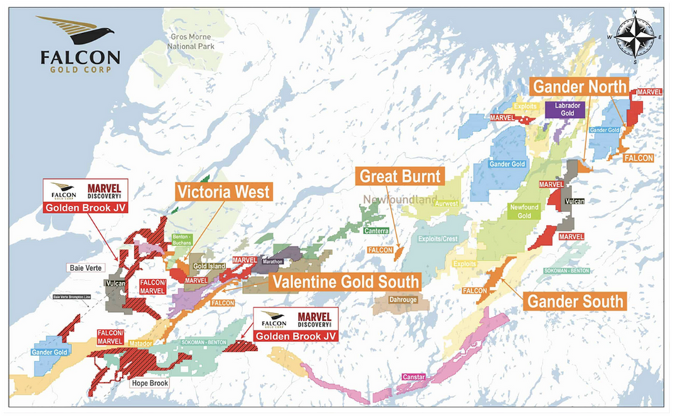 Falcon Gold Projects Newfoundland