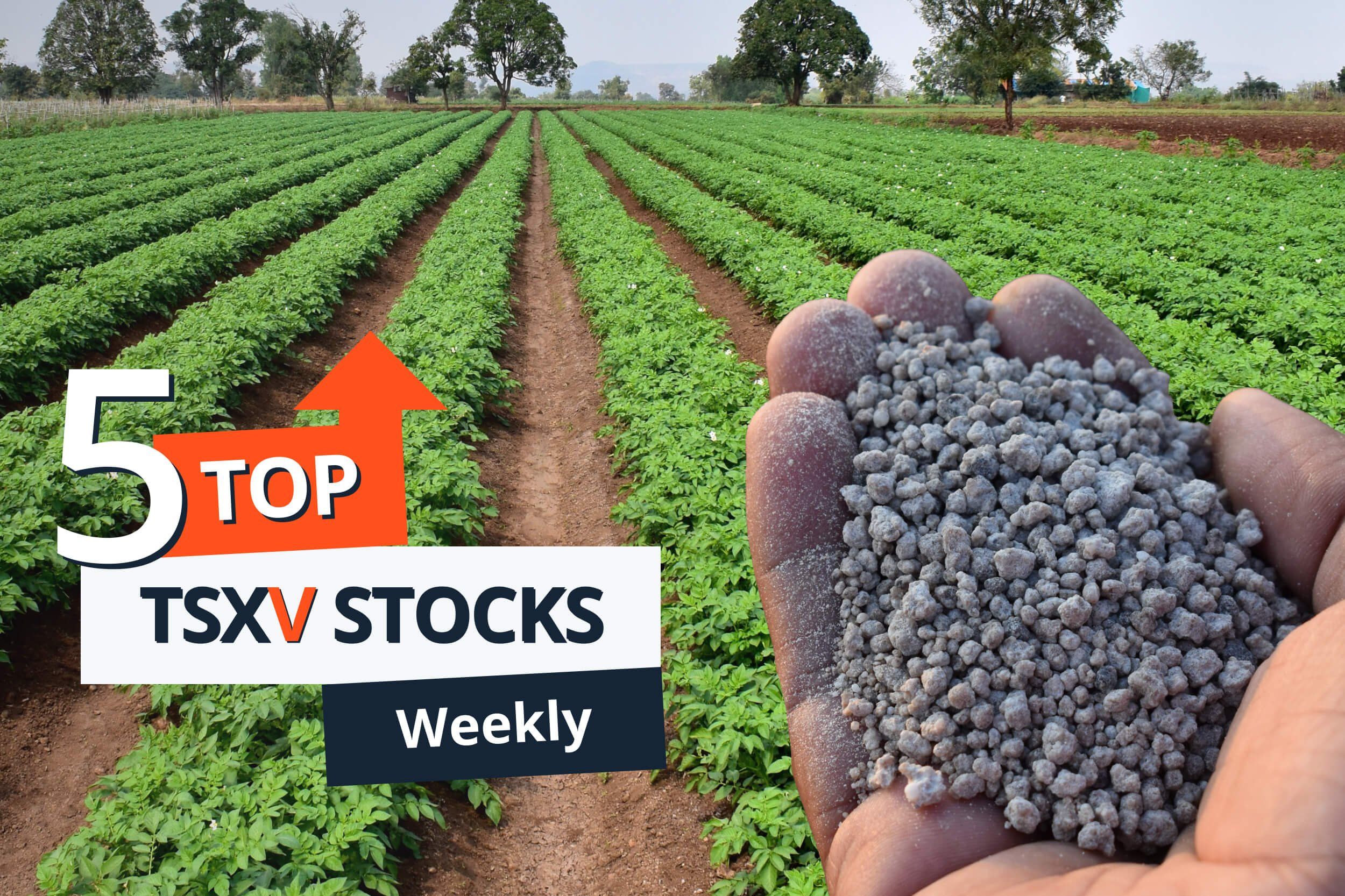 farm crops in a field