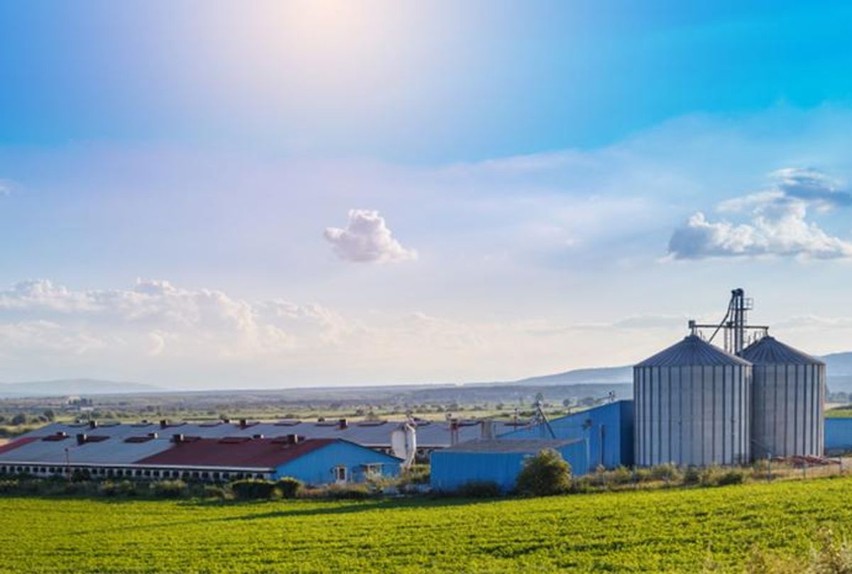 farm field