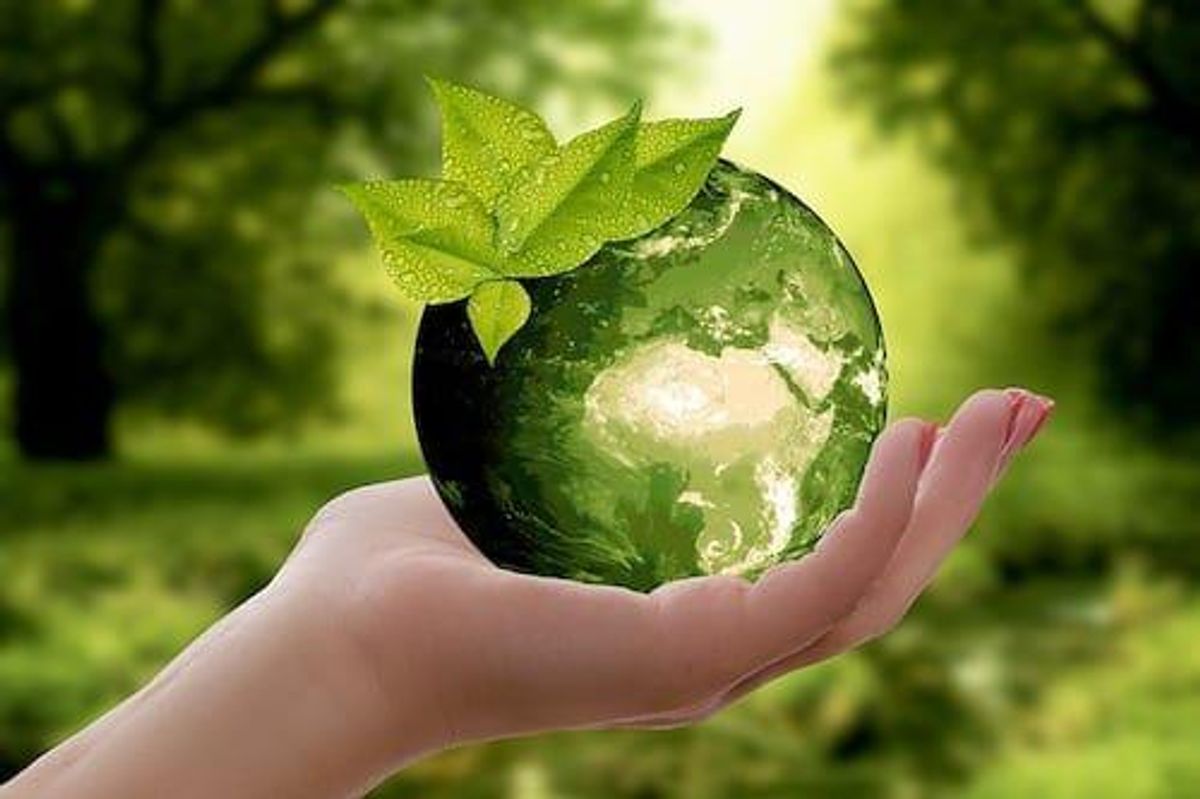 female hand holding a green earth