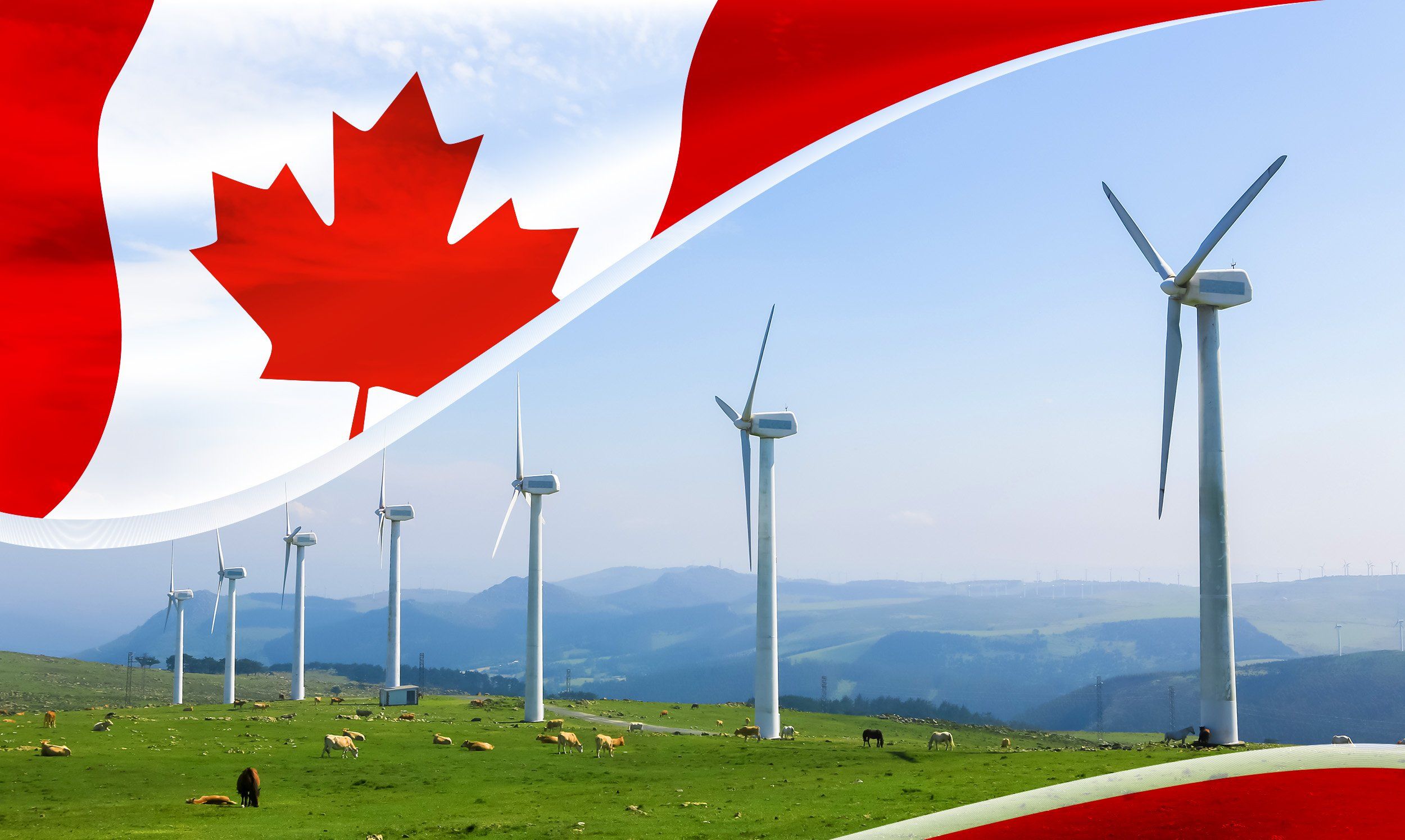 Field with windmills overlayed by Canadian flag.