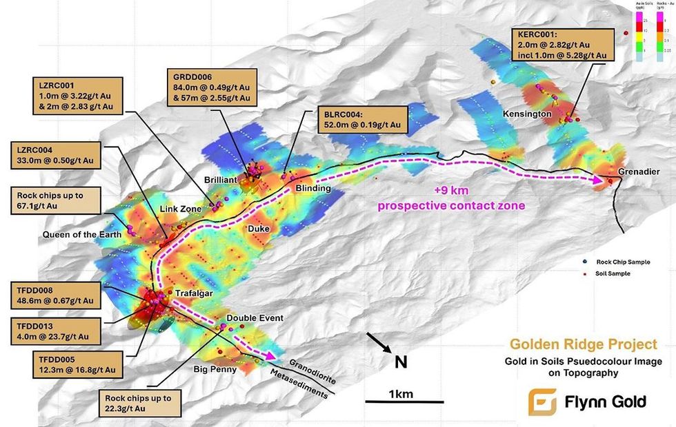 Flynn Gold's Golden Ridge Project