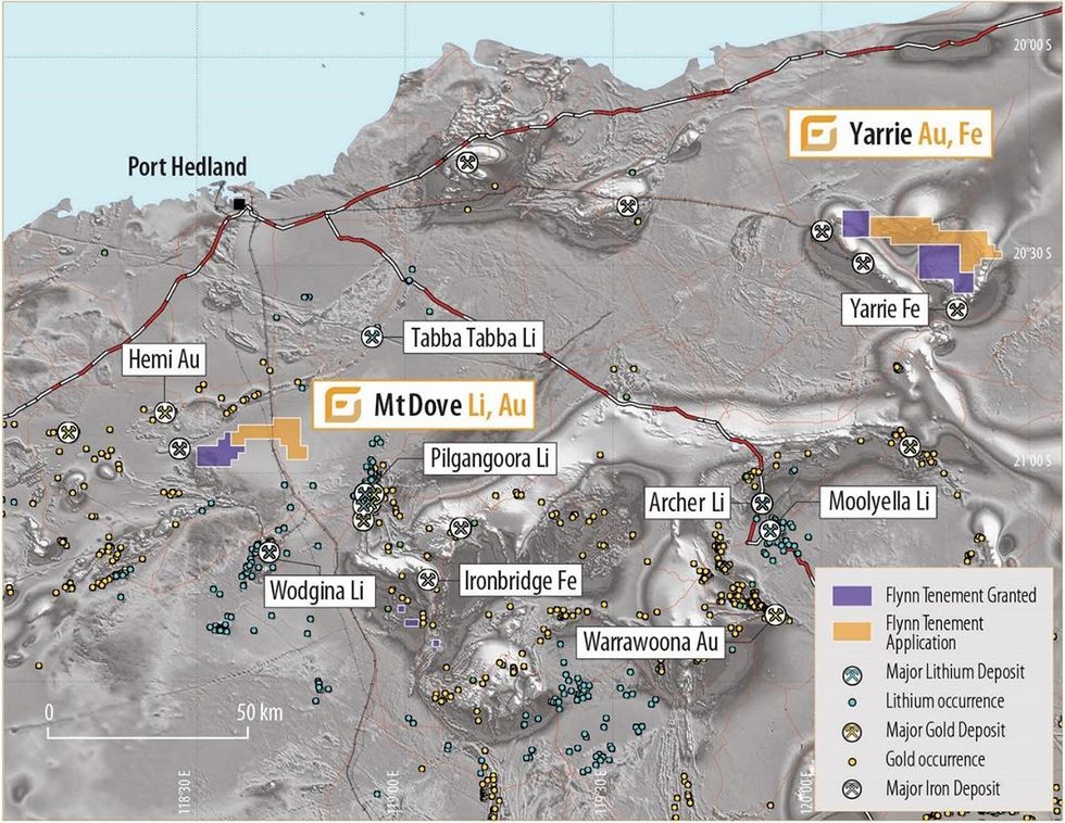 Flynn Gold's Yarrie Project