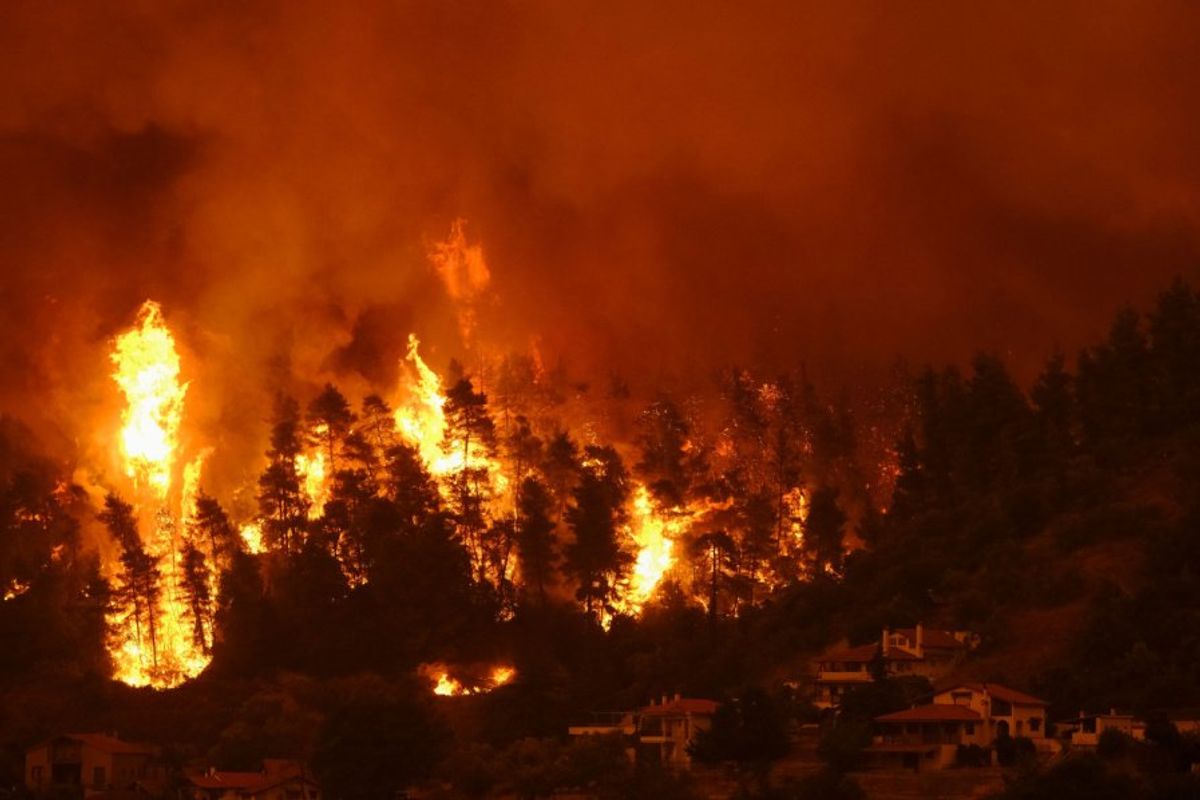 forest fire