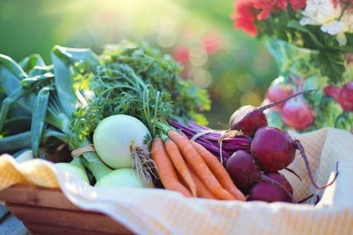 fresh vegetables outdoors