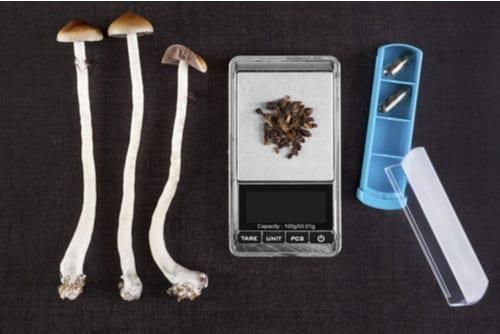 full mushrooms, pieces of mushrooms on a scale and a pill case with capsules on a grey surface