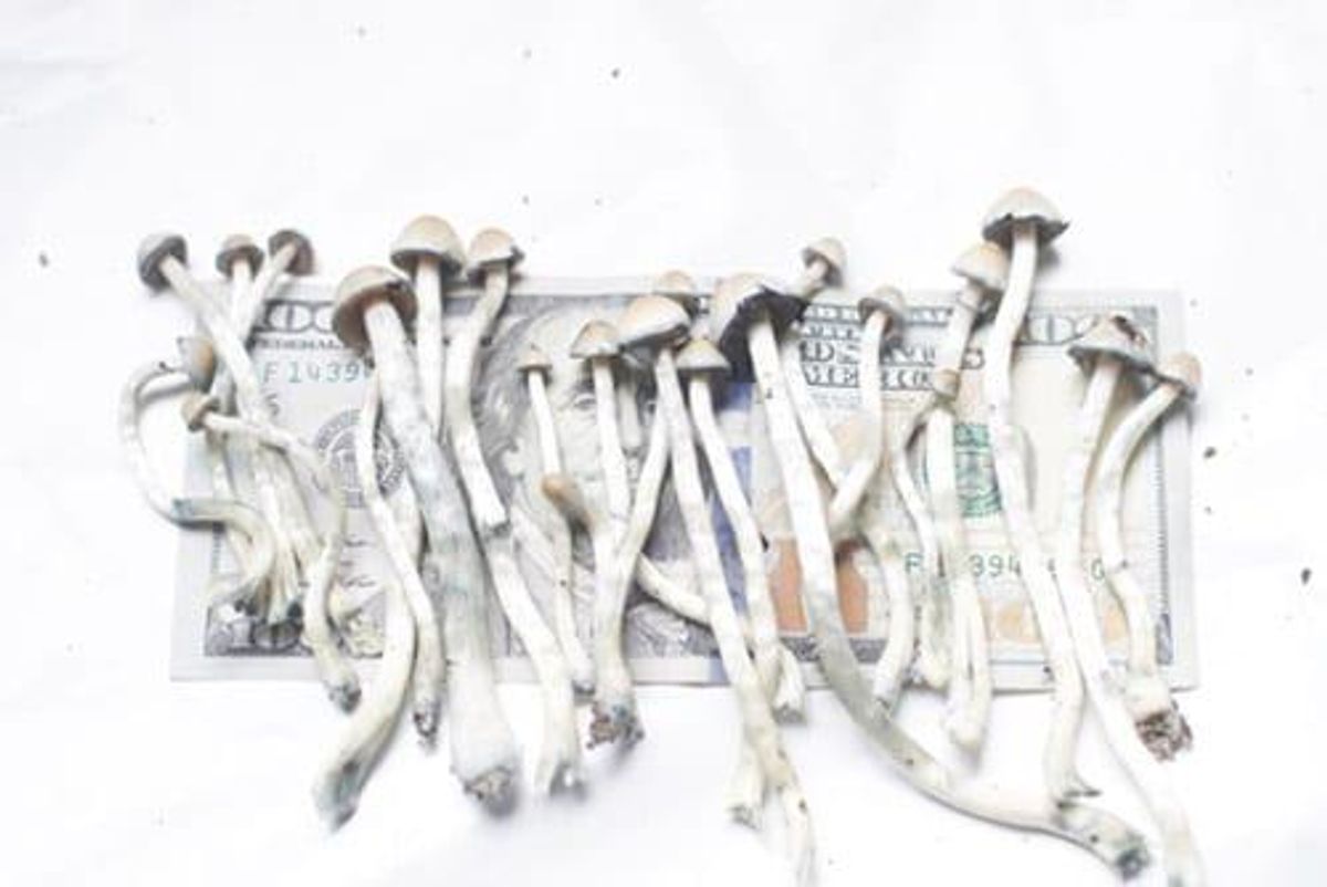 future of psychedelics