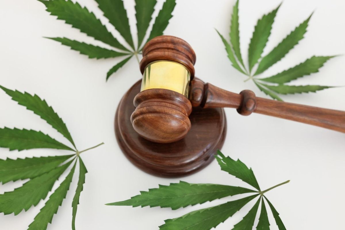 Gavel on a surface with scattered cannabis leaves, symbolizing legal issues around marijuana.