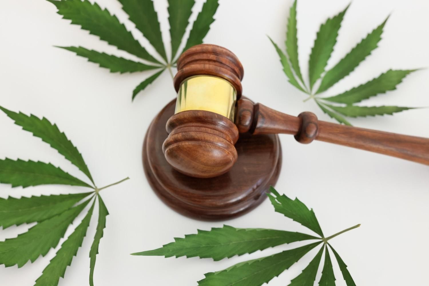 Gavel on a surface with scattered cannabis leaves, symbolizing legal issues around marijuana.