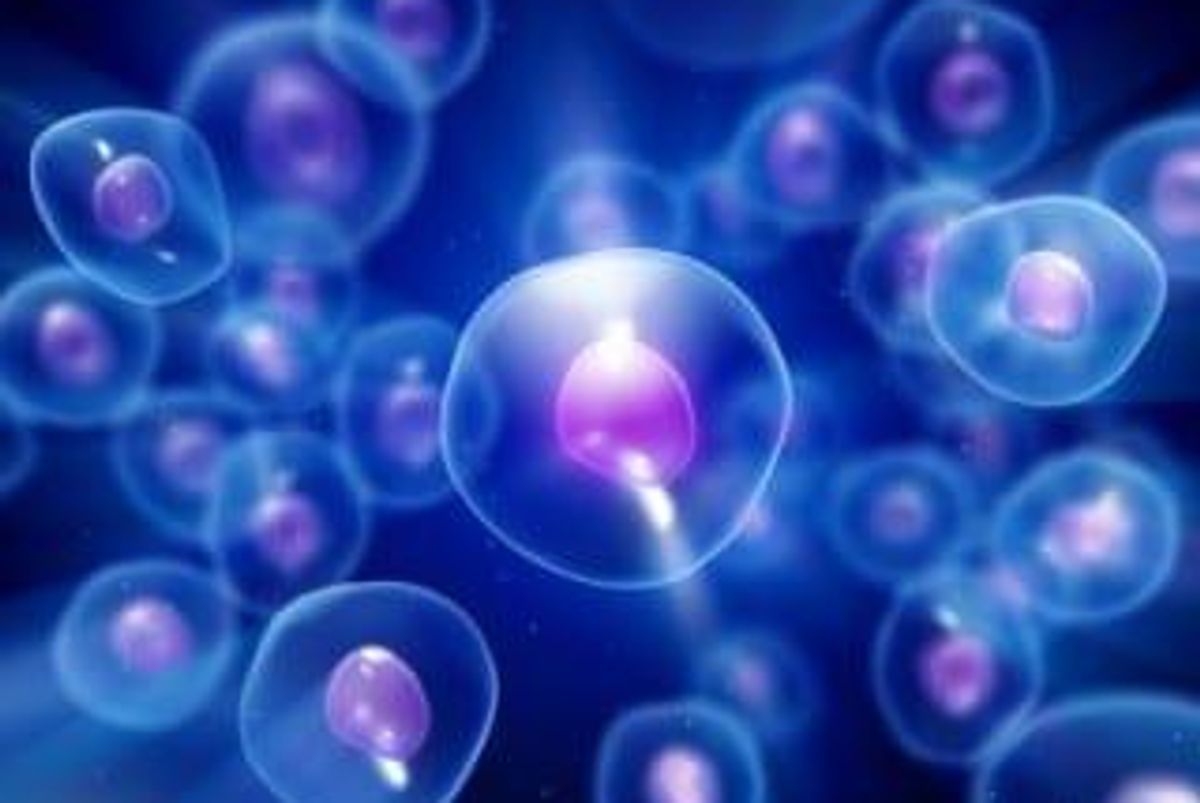 Genetics Investing