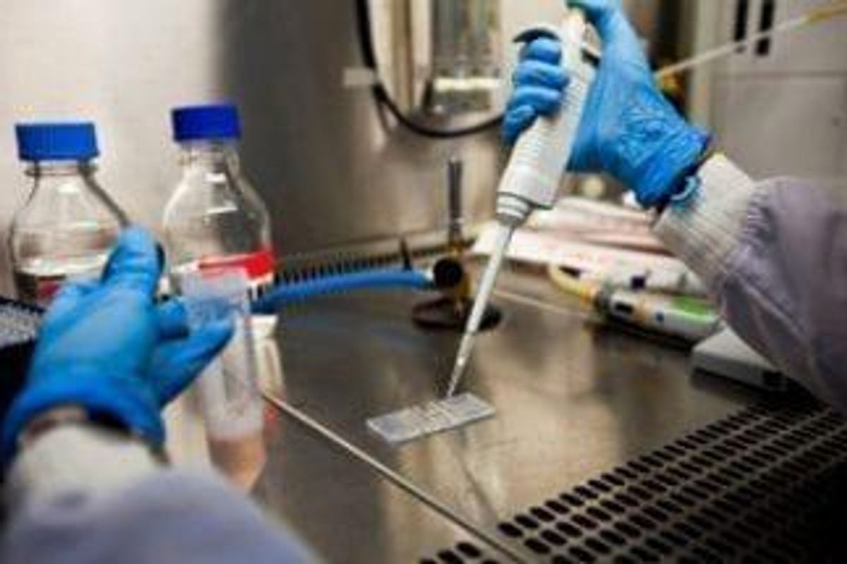 Genetics Investing