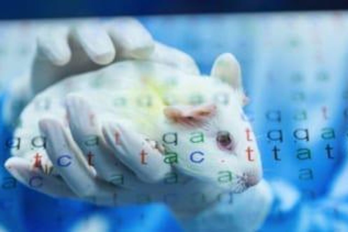 Genetics Investing