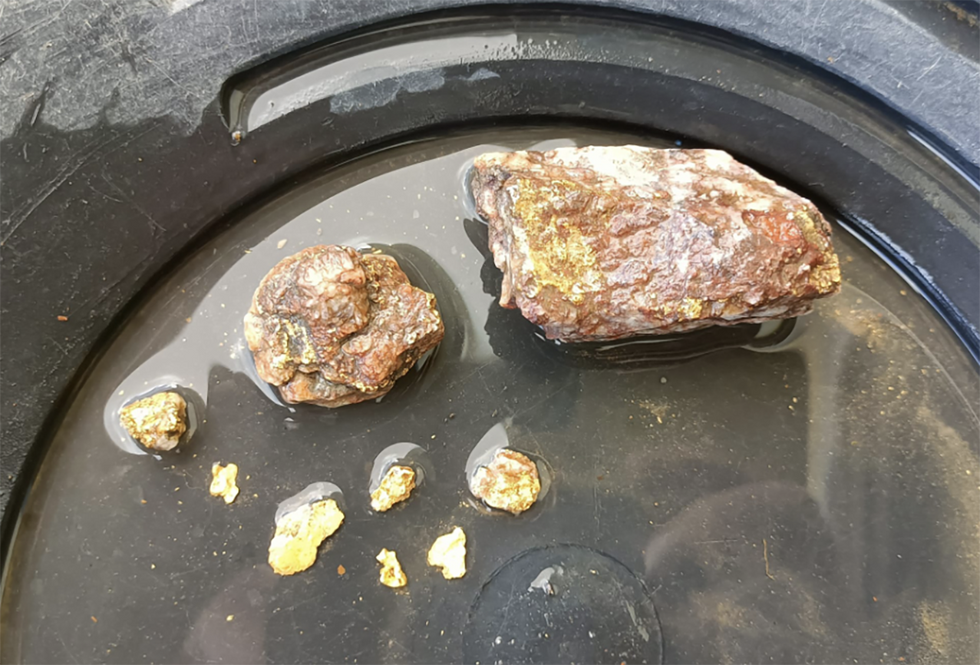 Gold and copper samples from EMU NL's Georgetown project