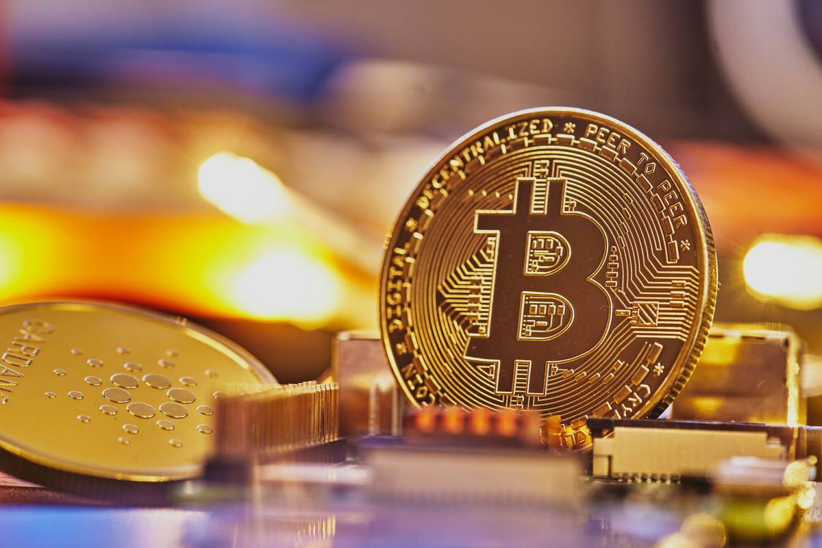 Gold Bitcoin and Cardano coins on electronic circuit board with blurred warm lights in the background.