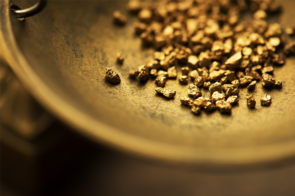 Gold nuggets in pan.