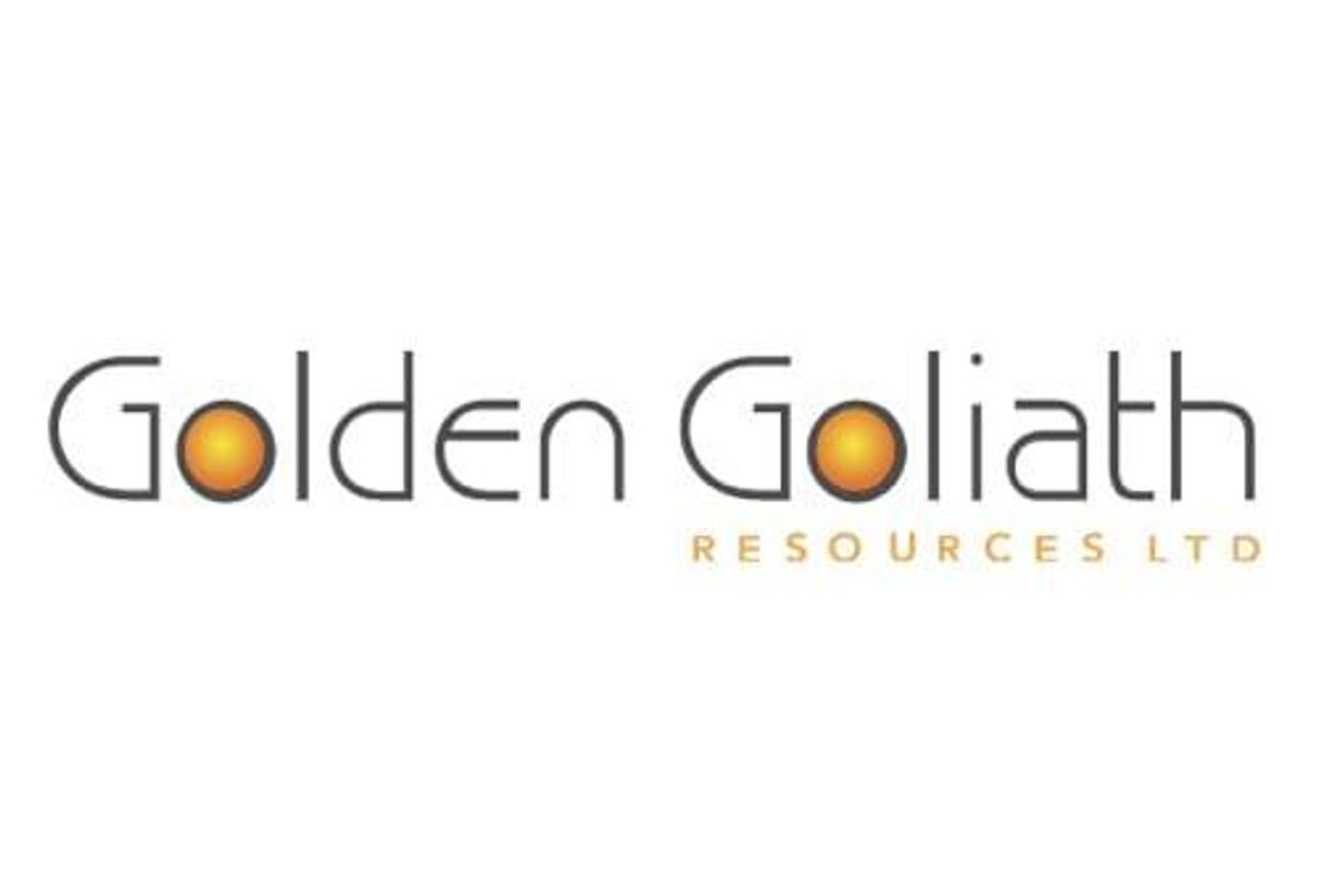golden goliath